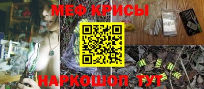 ешки Ставрополь