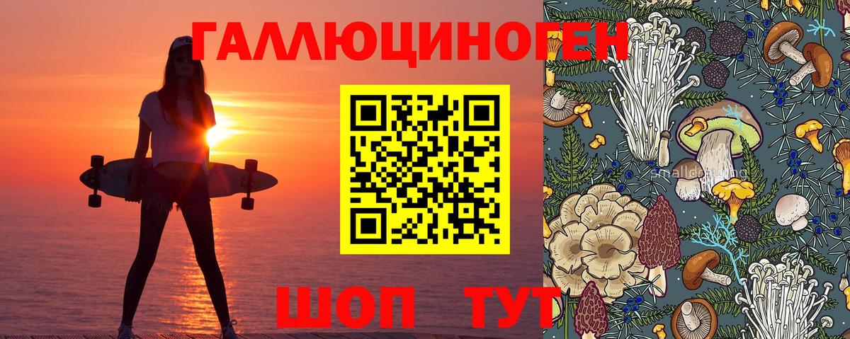 Псилоцибиновые грибы ЛСД  Вход с VPN  Нижний Новгород 